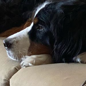 Meet your Posher, Tonya